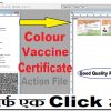 Colour Vaccine Certificate Action File